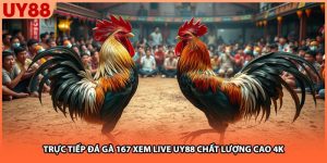 Trực Tiếp Đá Gà 167 Xem Live UY88 Chất Lượng Cao 4k